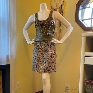 Ann Taylor Loft Shimmer Skirt